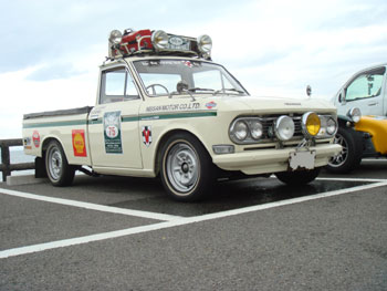 DSC08501.jpg