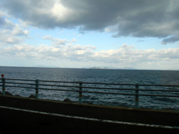 DSC08515.jpg
