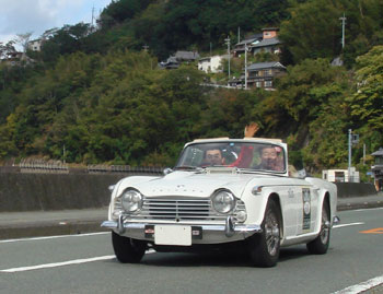 DSC08574.jpg