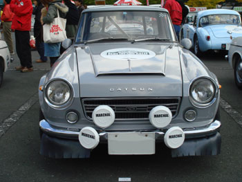 DSC08694.jpg
